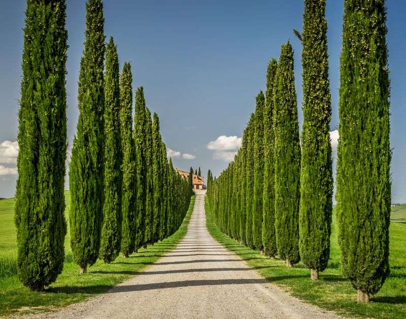 Untitled-design-91 | WEDISTRY BLOG beautiful destination wedding