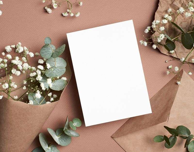 seasonal greeting cards
