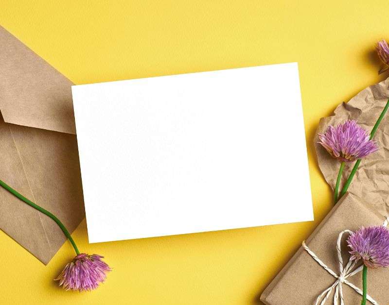 seasonal greeting cards
