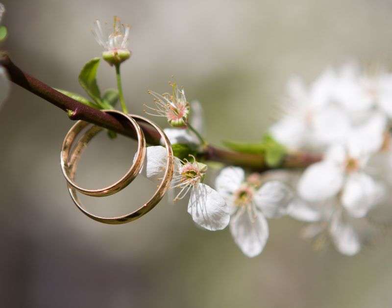 Untitled-design-83 | WEDISTRY BLOG new wedding planner