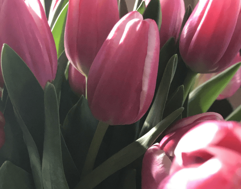 Untitled-design-64 | WEDISTRY BLOG Untitled-design-64 | WEDISTRY BLOG