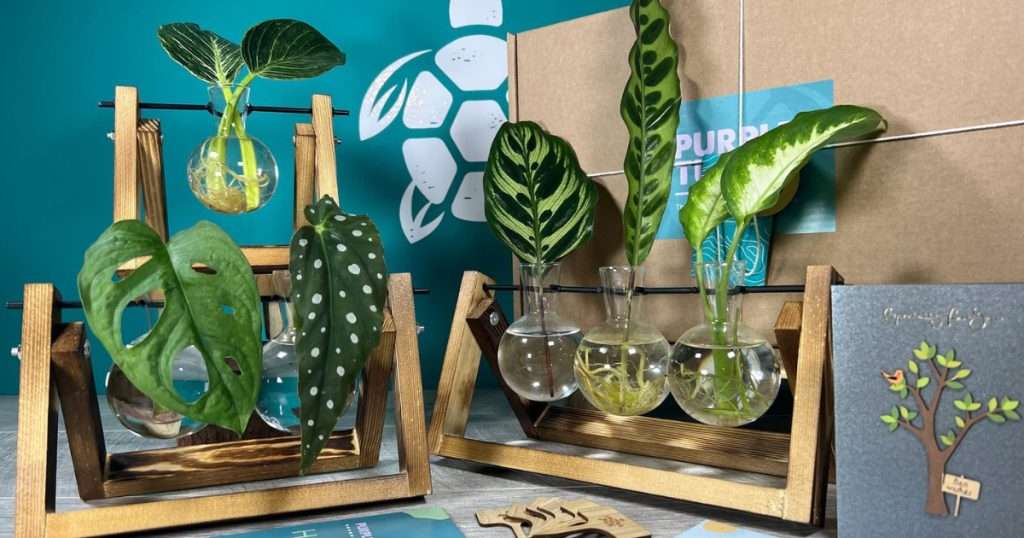 etsy holiday favorites you will love